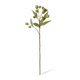 Eucalyptus Gum Nut Spray 67cm | Green