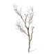 Deadwood Branch - 34 x 30 x 100cm