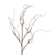 Coated Twig Branches