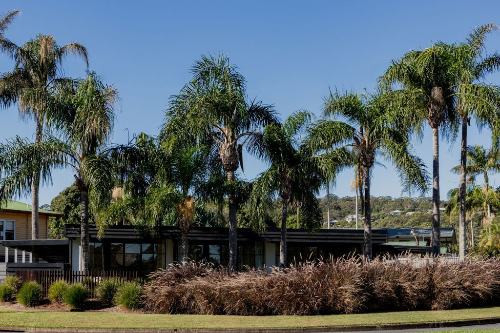 9 Palms