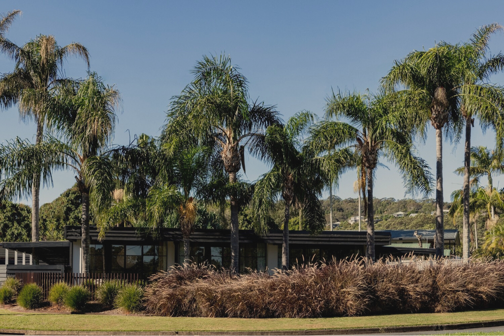 9 Palms
