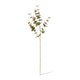 Eucalyptus Spray 86cm | Green/Pink