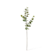 Eucalyptus Dollar Spray 94cm