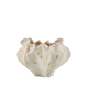 Calyx Vase