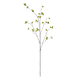 Berry Branch