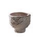 Daphne Pot