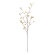 Elm Seeding Spray