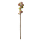 Fig Stem