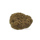 Natural Mediterranean Sea Sponge
