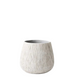 Elias Pot | Ivory